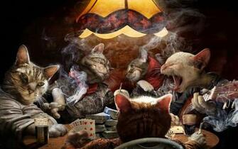 Funny Cat Games Wide Wallpaper