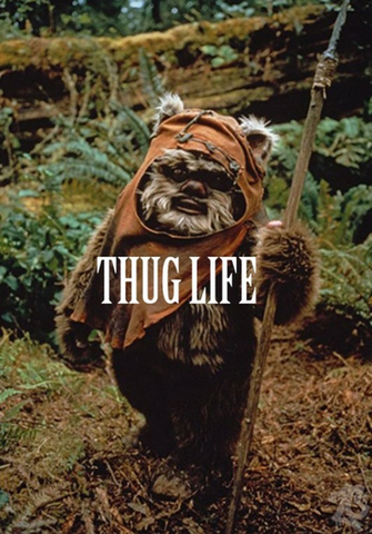 Ewok Poster By Zachcitizenn