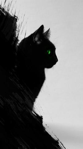 Black Cat Wallpaper iPhone