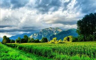 Wallpaper Peaceful Sceneries