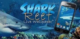 Apps And Games Shark Reef Live Wallpaper V1 Apk