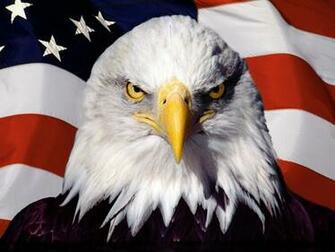 Eagle On Flag Desktop Pc And Mac Wallpaper