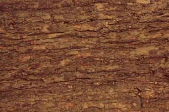 Bark Products From Faux Stone Sheets Usa Manufacturer Of