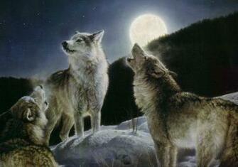 And Wolves Graphics Code Indians Comments Pictures