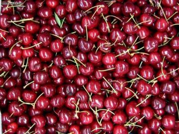 Development Cherries Frc Picture Nr