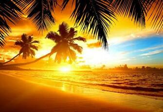Tropical Sunset Wallpaper HD Desktopinhq