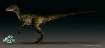 Jurassic World Velociraptor By Manusaurio