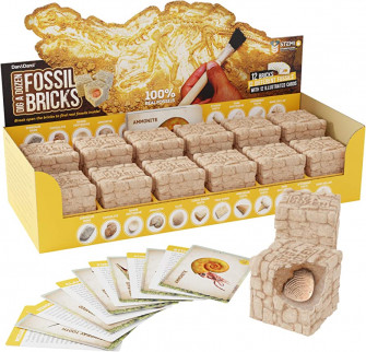 Amazon Dig A Dozen Fossil Bricks Break Open And