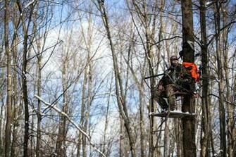 For Hunters In The Woods A Quiet Killer Tree Stands New