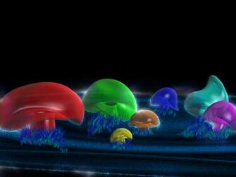 Go Back Image For Magic Mushrooms Wallpaper