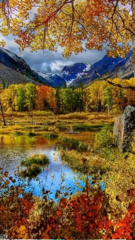 Nature Wallpaper For Apple iPhone E Entertainment