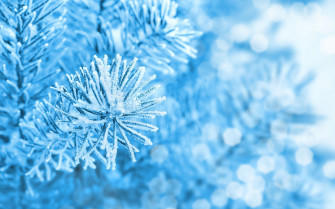 Ice Background Wallpaper