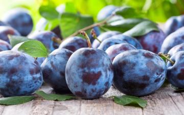 Plum Fruit 4k Wallpaper
