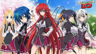 High School Dxd 4k Wallpaper HD Anime Desktop