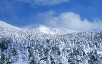 Winter Snow Photos Scenes Wallpaper No