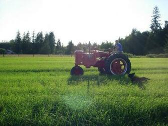 Farmall M Tractor Wallpaper Picswallpaper