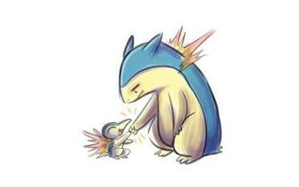 Typhlosion Wallpaper