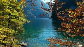 Image Germany Konigsee Nature Autumn Lake Stone Branches