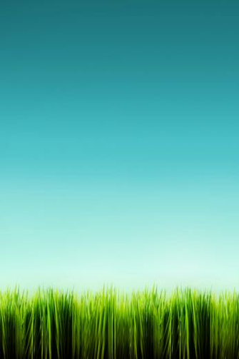 iPhone 4s Wallpaper Best 67