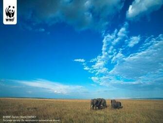 For Your Desktop Wwf Wallpaper Top Quality