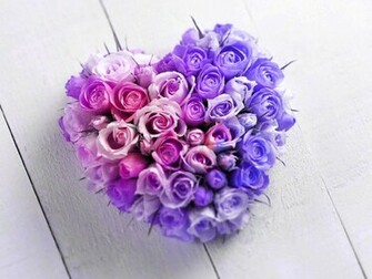 Blue Rose Wallpaper Background Bg