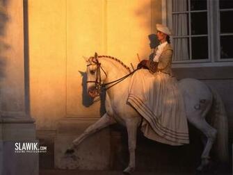 Slawik Horse Wallpaper Horses