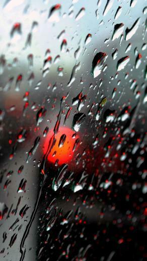 Fresh Rain Drops iPhone 5s Wallpaper