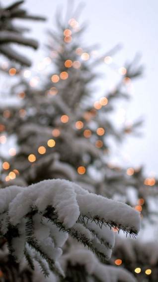 Winter Wallpaper iPhone December Christmas Phone