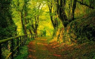HD Wallpaper 1080p Nature Autumn Nice Pics Gallery