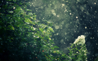 Raining Wallpaper