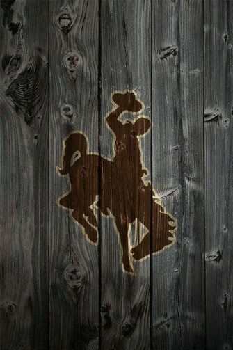 Wyoming Cowboy Cakes