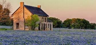 Walter White Knives Cropped Bluebonnet Full HD Wallpaper