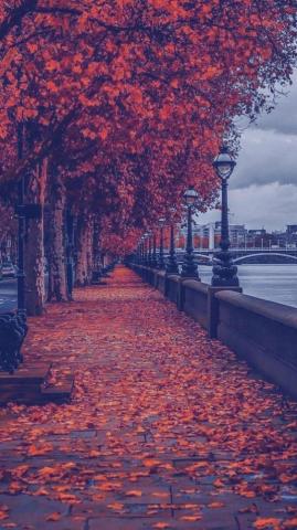 Choosing A Favorite iPhone Wallpaper Will Make You Happy Lialip
