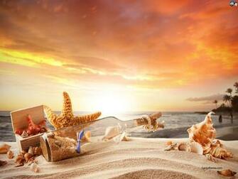 Seashells Wallpaper