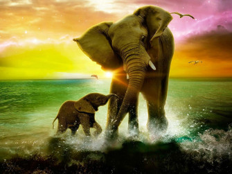 Majestic African Elephants In Their Natural Habitat Wallpaper
