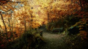 Fantasy Autumn Wallpaper