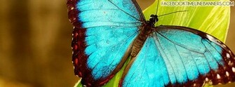 Nice Wallpaper For Cover Yuyellows Net