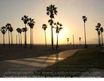 And Places Pictures Info Venice Beach California Wallpaper