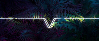 Neon Leaves Wallpaper In By Anotherdickquery