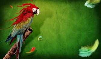 Wallpaper Netbook