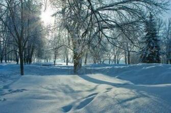 Beautiful Nature Winter Wallpaper