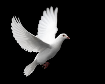 David Blewett Obituary Toronto