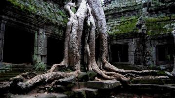 Ancient Ruins Wallpaper On