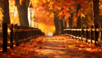 Fall Aesthetic Desktop Wallpaper