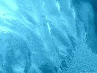 Flowers Of Frost Wallpaper By Gerdez