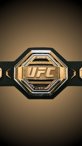 Pin De Marcellys Guillen Em Cumple Ufc Parede Gliter Lutas