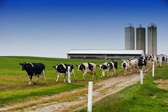 Shutdown Not On Farm Of My Youth And Dairy