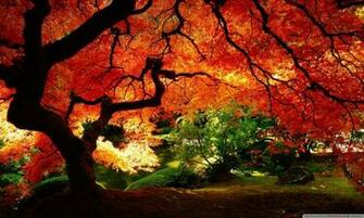 Pretty Autumn Wallpaper At Wallpaperbro