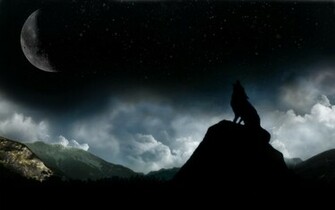 Wolf Howling At The Moon HD Wallpaper Car Pictures