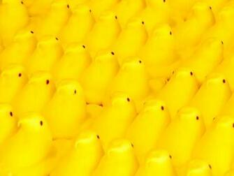 Peep Parade Jpg Computer Wallpaper Gallery